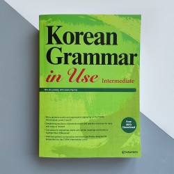 Korean Grammar in Use Intermediate Грамматика корейского языка для продолжающих на английском