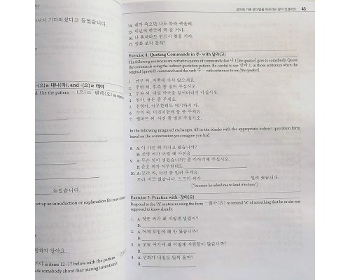 Advanced Korean: Includes Downloadable Sino-Korean Companion Workbook