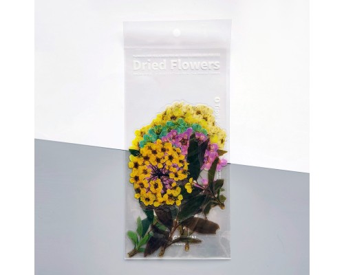 Декор Dried Flowers Прекрасна Гортензія