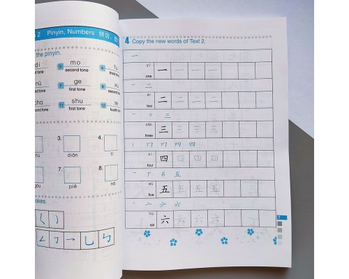 Easy Steps to Chinese 1 Workbook Кольоровий