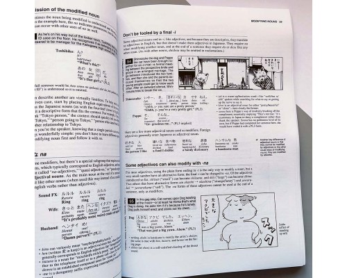 Japanese the Manga Way: An Illustrated Guide to Grammar and Structure