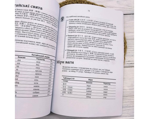 Китайська мова для чайників - заговори з мандаринами легко та просто!