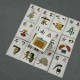 Двосторонні картки для вивчення китайської мови - Chinese for Kids 1а