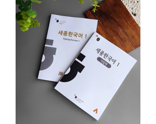Комплект книг для вивчення корейської мови Sejong Korean 1 рівень (підручник + робочий зошит)