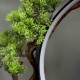 Led-подставка для чайного пространства Декор для чайной церемонии Бонсай