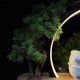 Led-подставка для чайного пространства Декор для чайной церемонии Бонсай
