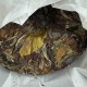 Белый чай Сяо Бай Тянь (Xiao Bai Tian), выдержанный, 100 г
