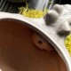 Чайный набор керамический для китайской чайной церемонии на 6 персон Дыхание дракона