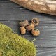 Порционный красный чай Чжэн Шань Сяо Чжун в дикой опунции 1шт