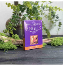 Оракульні карти Daily Guidance from Your Angels на 44 карти, щоденні ангельські підказки для натхнення та саморефлексії