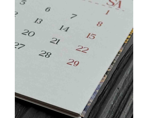 Настінний календар 2027 Котики Сходу - м'яка лапка удачі на рік
