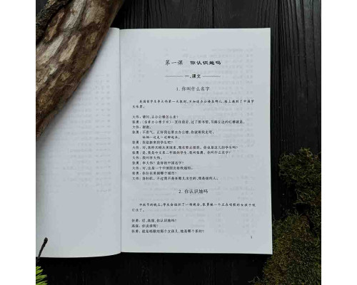 Hanyu Kouyu Jiaocheng - курс розмовної китайської